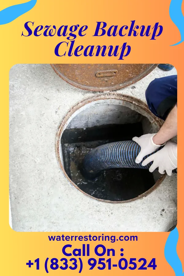Sewage Backup Cleanup in Oshkosh, NE