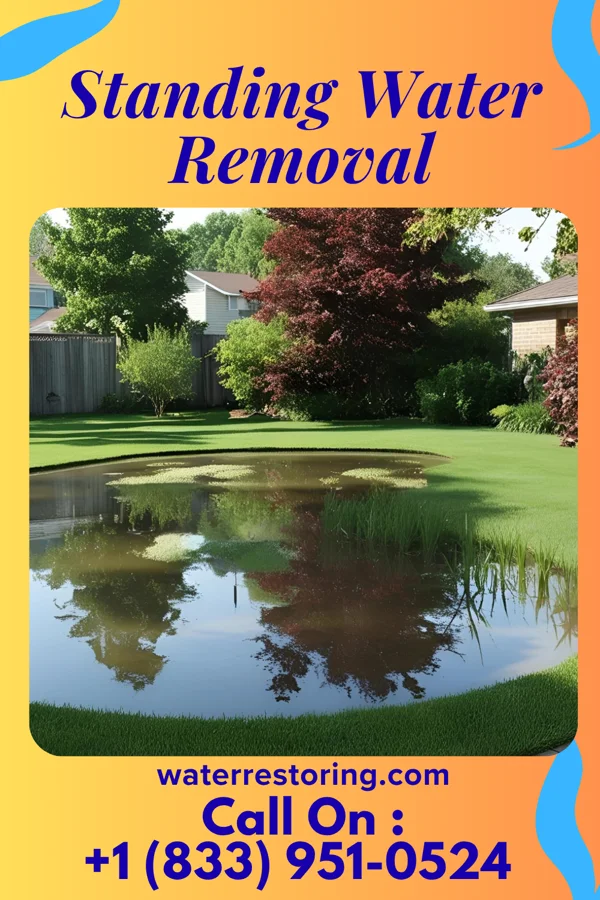 Standing Water Removal in Oshkosh, NE